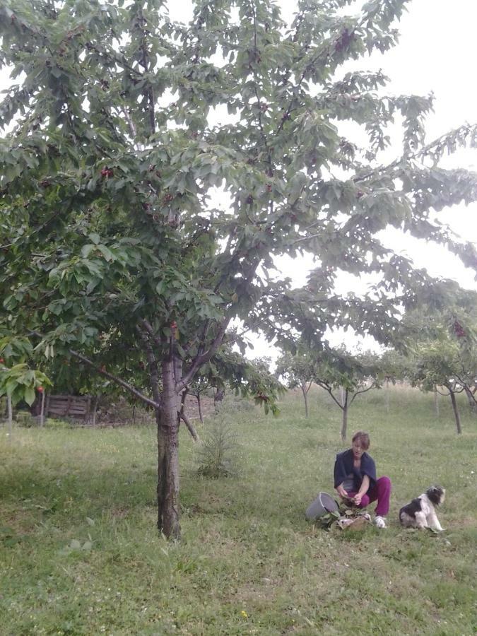 Persichitti * Torricella Peligna